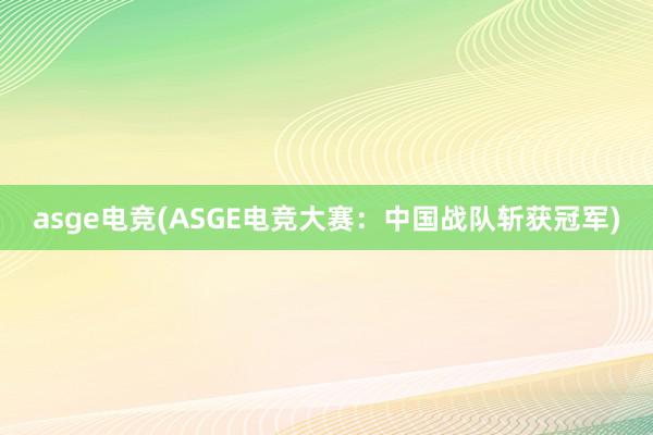 asge电竞(ASGE电竞大赛：中国战队斩获冠军)