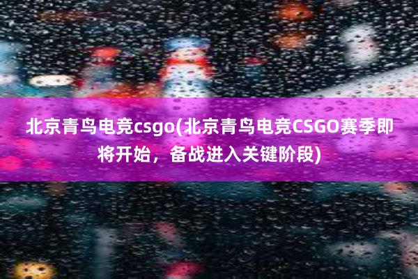 北京青鸟电竞csgo(北京青鸟电竞CSGO赛季即将开始，备战进入关键阶段)